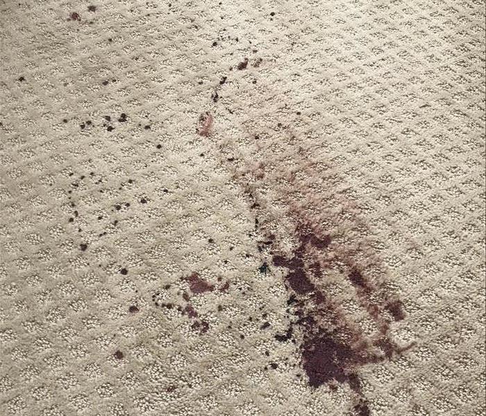 Blood on carpet