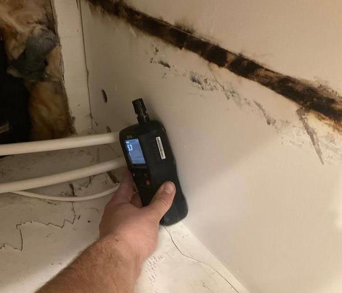 checking moisture levels on moldy drywall