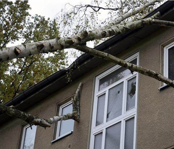 Fallen tree damaging roof and window of home