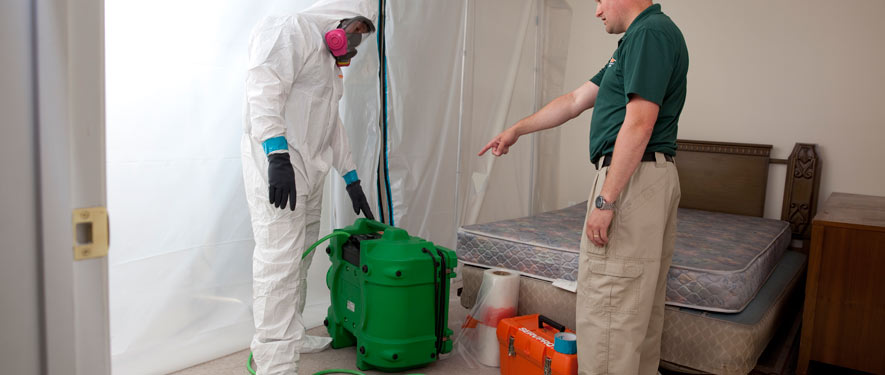 Oxnard, CA mold removal process